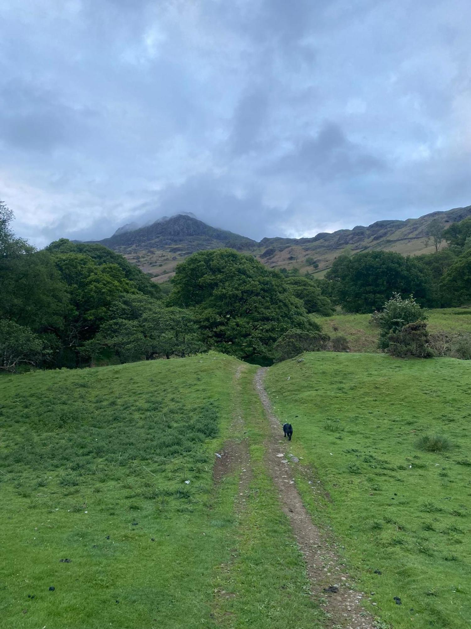 Cosy Glamping In The Eskdale Valley - Studio Lodges And Mega Pods Extérieur photo