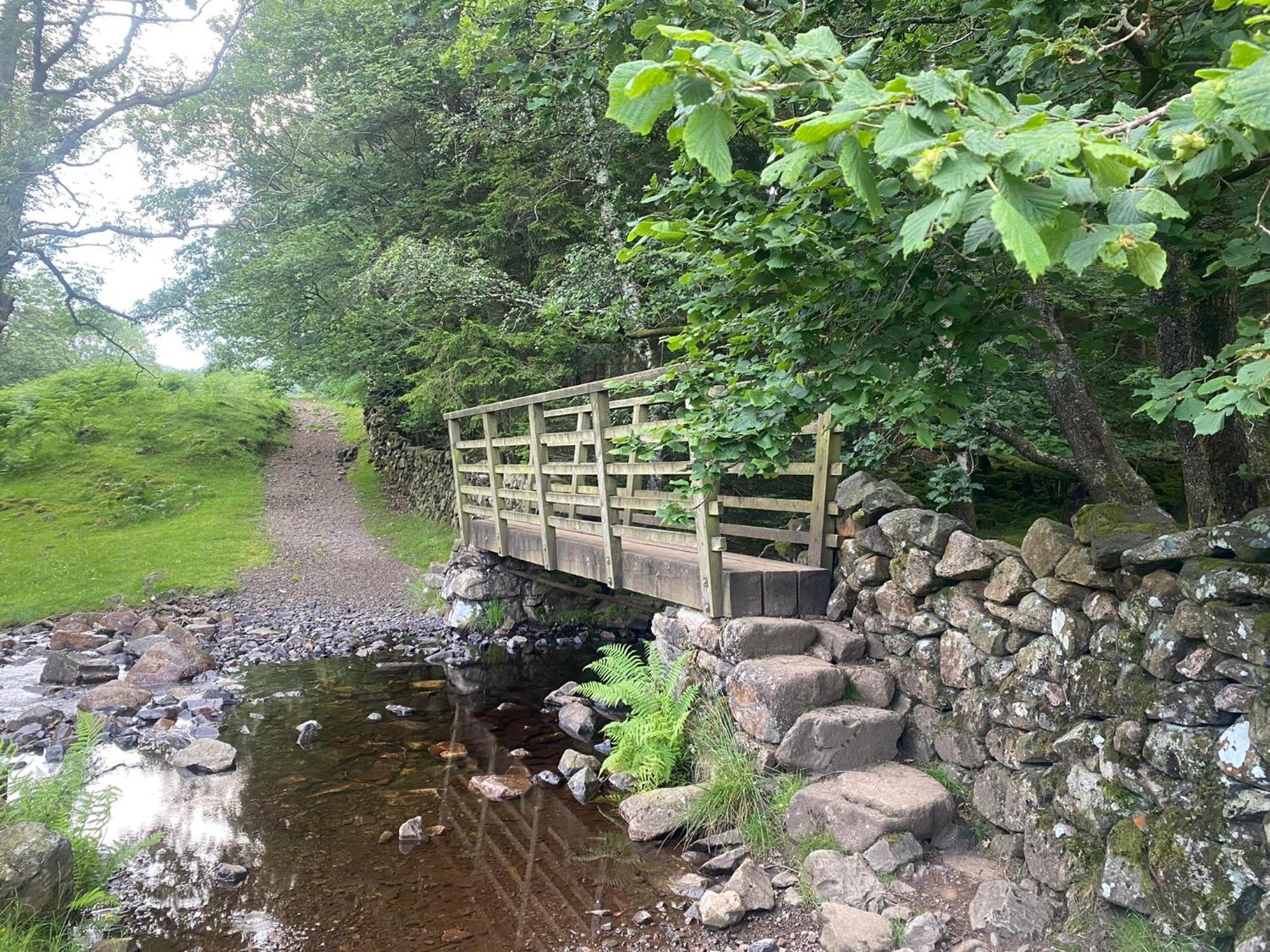 Cosy Glamping In The Eskdale Valley - Studio Lodges And Mega Pods Extérieur photo