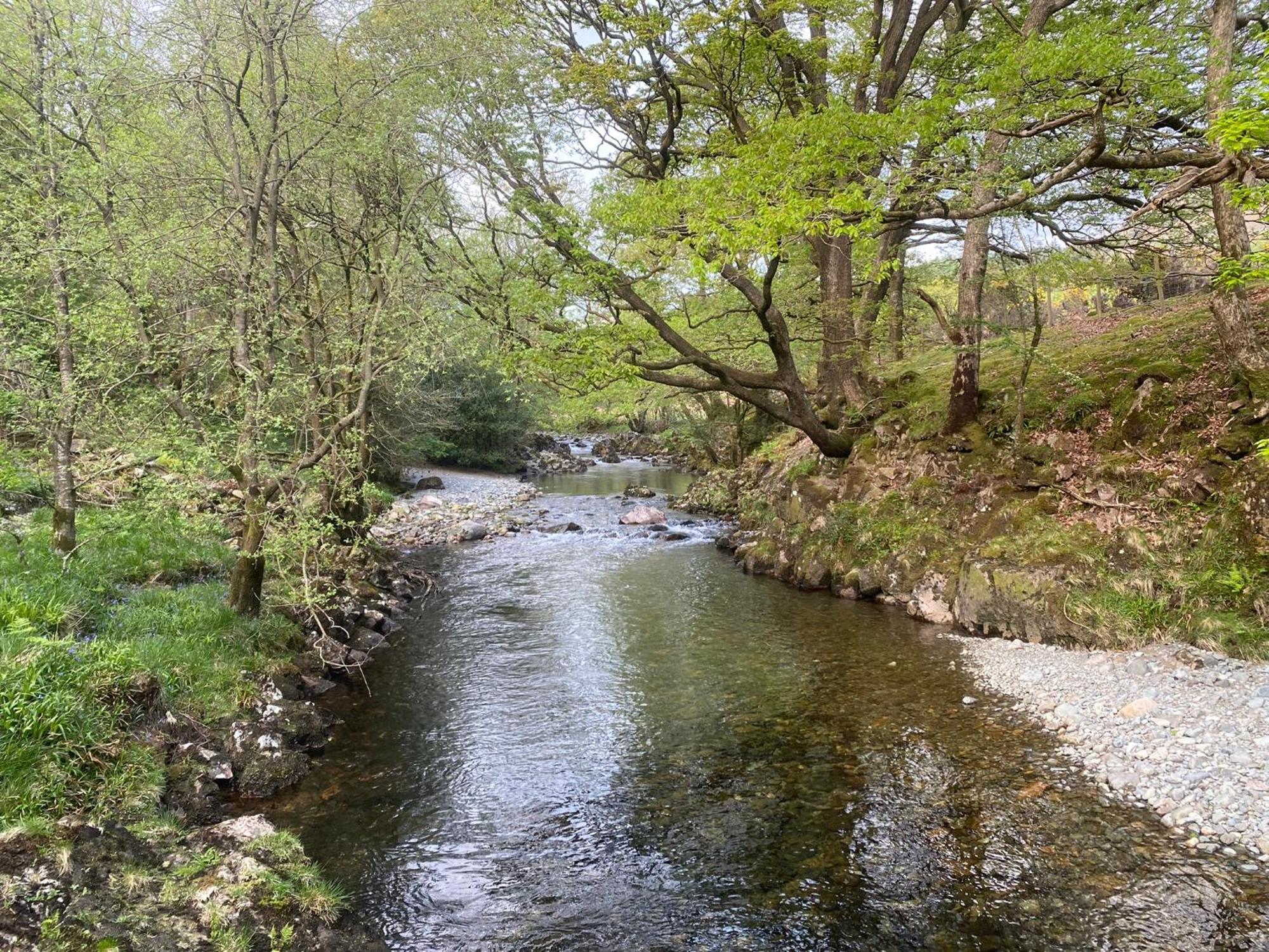 Cosy Glamping In The Eskdale Valley - Studio Lodges And Mega Pods Extérieur photo